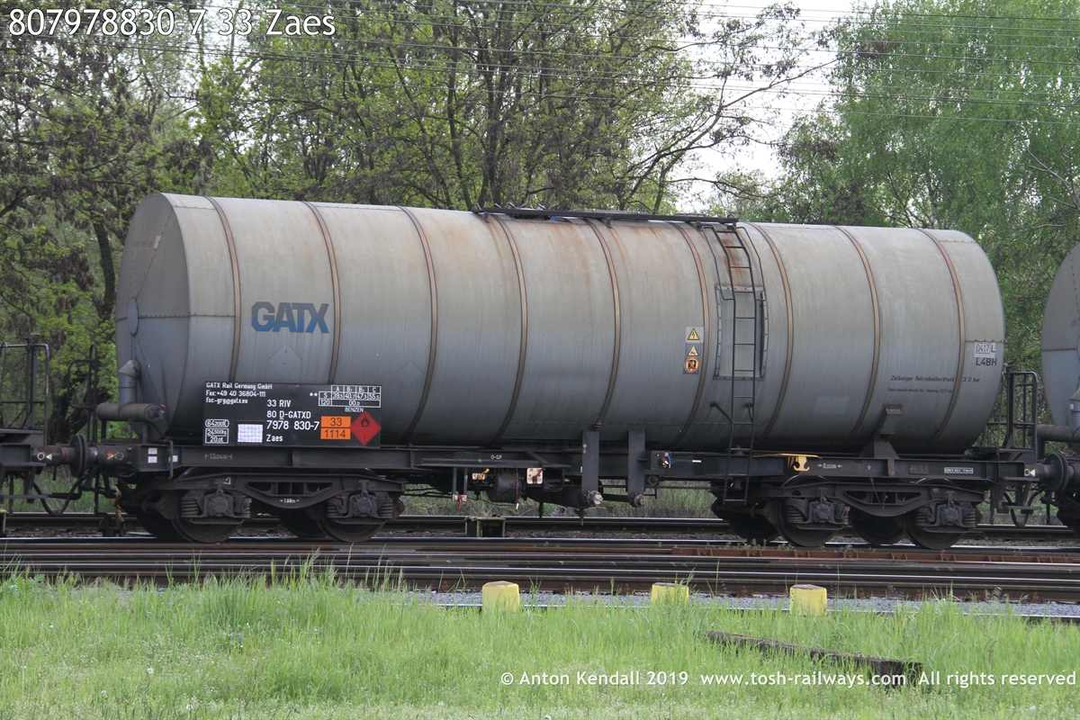 807978830-7_33 Zaes.JPG